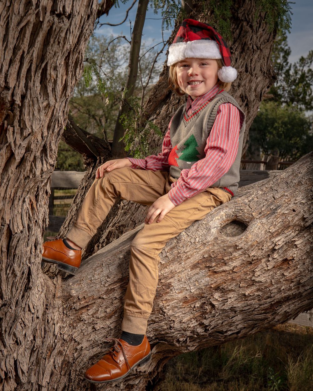 Holiday portrait of someone sitting on a tree branch wearing Santa hat and rustic country attire.
