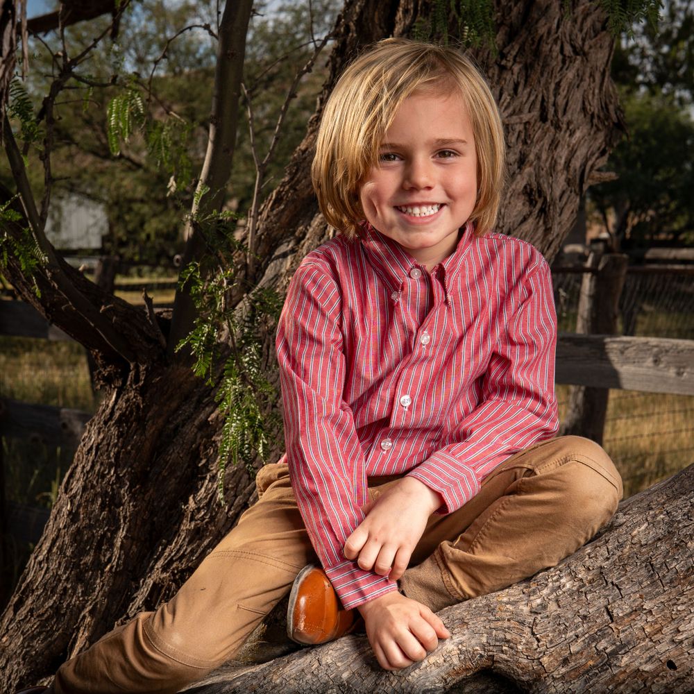 Casual country portrait on a tree branch wearing pink striped shirt and khaki pants.