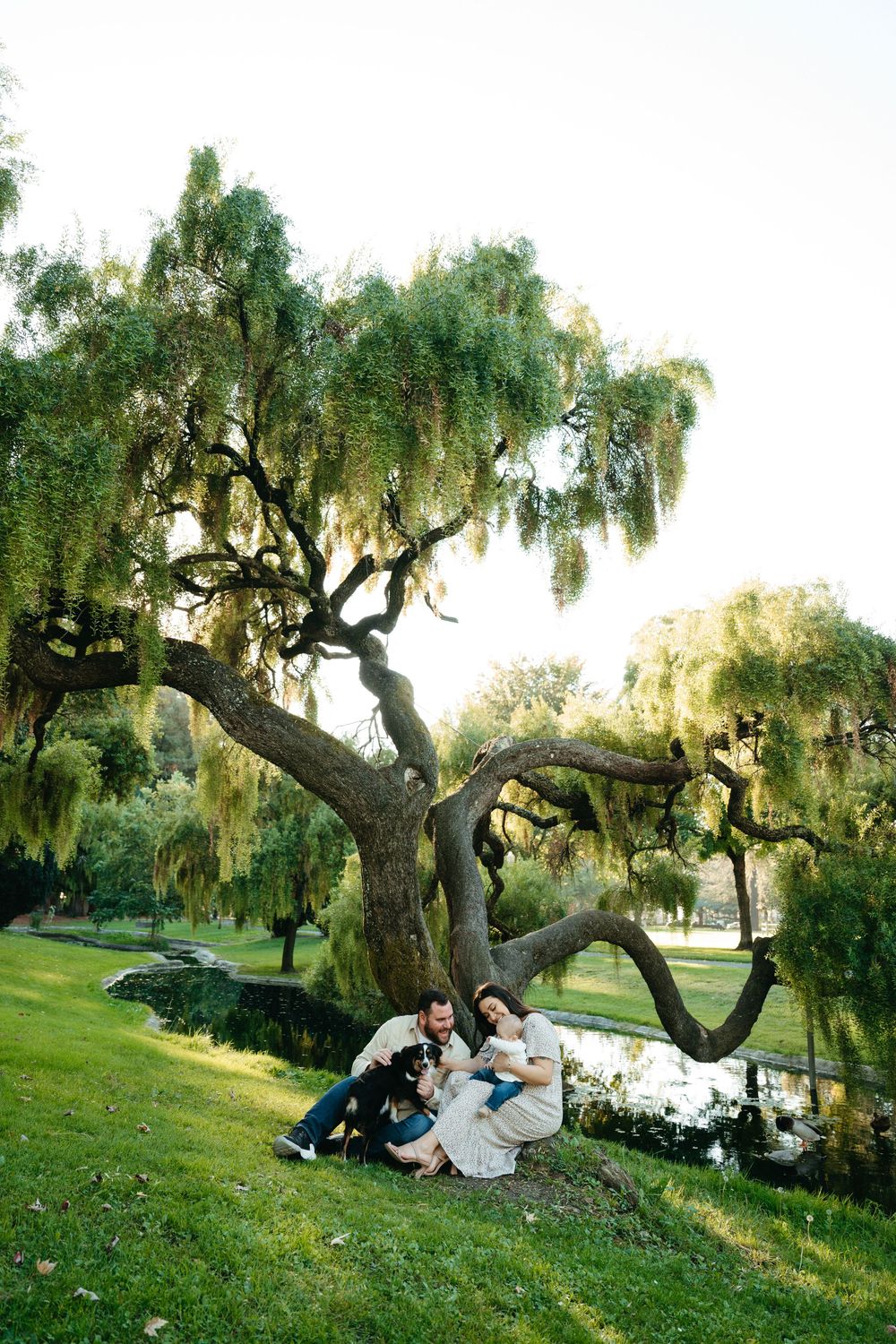 A couple relaxes under a sprawling weeping willow near a scenic creek at sunset with their infant and dog.
