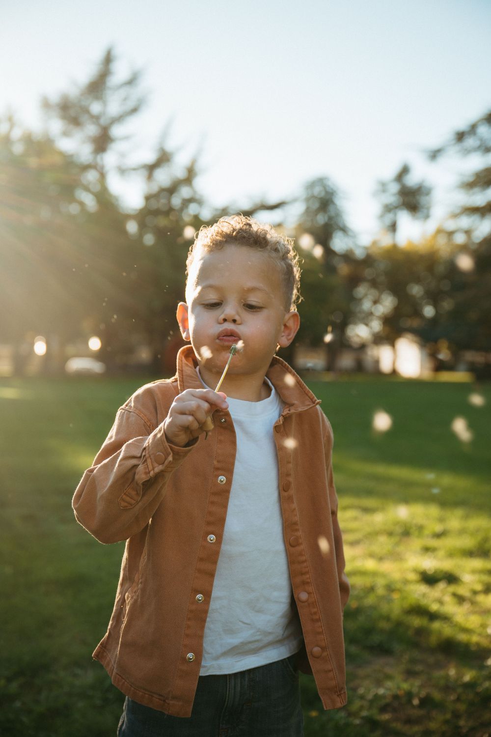 A toddler in a brown jacket plays outdoors at sunset while blowing a dandelion in a grassy field.