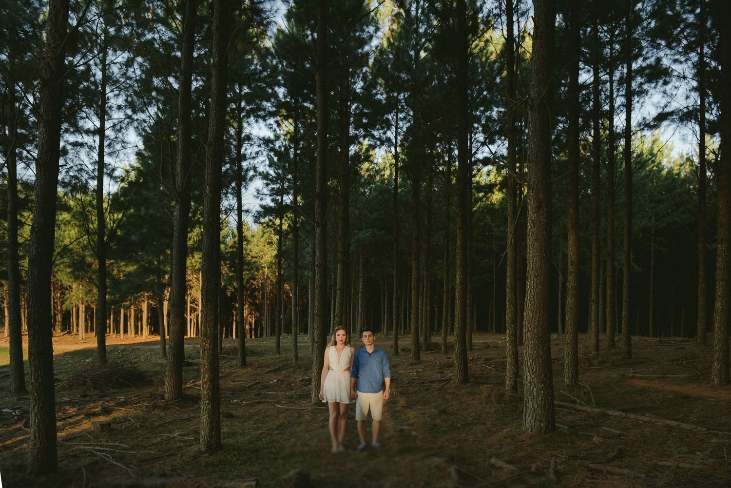 A couple strolling through a serene pine forest with sunlight filtering through the trees.