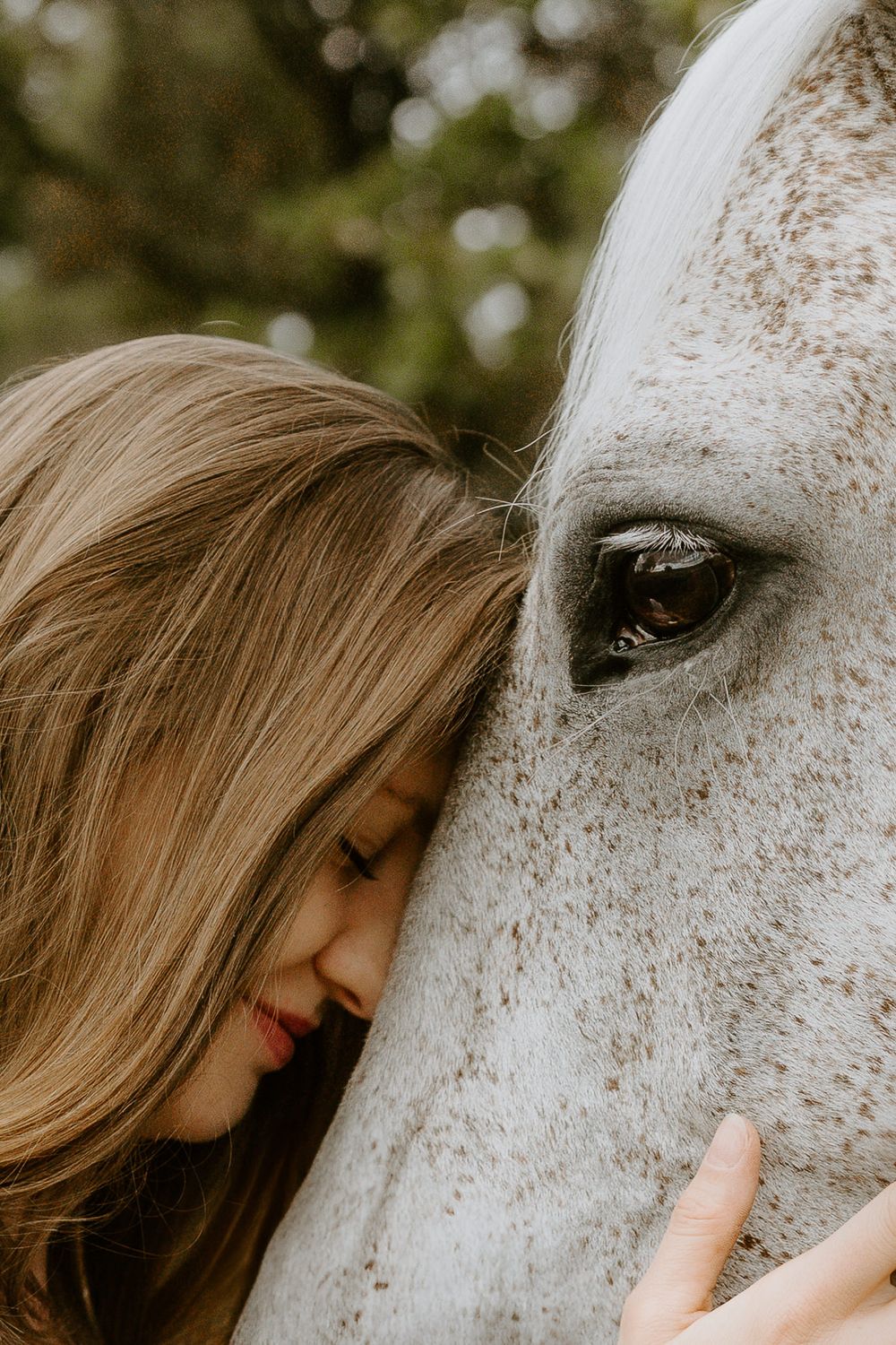 A young woman gently rests her face against a white speckled horse, sharing a tender moment of connection.