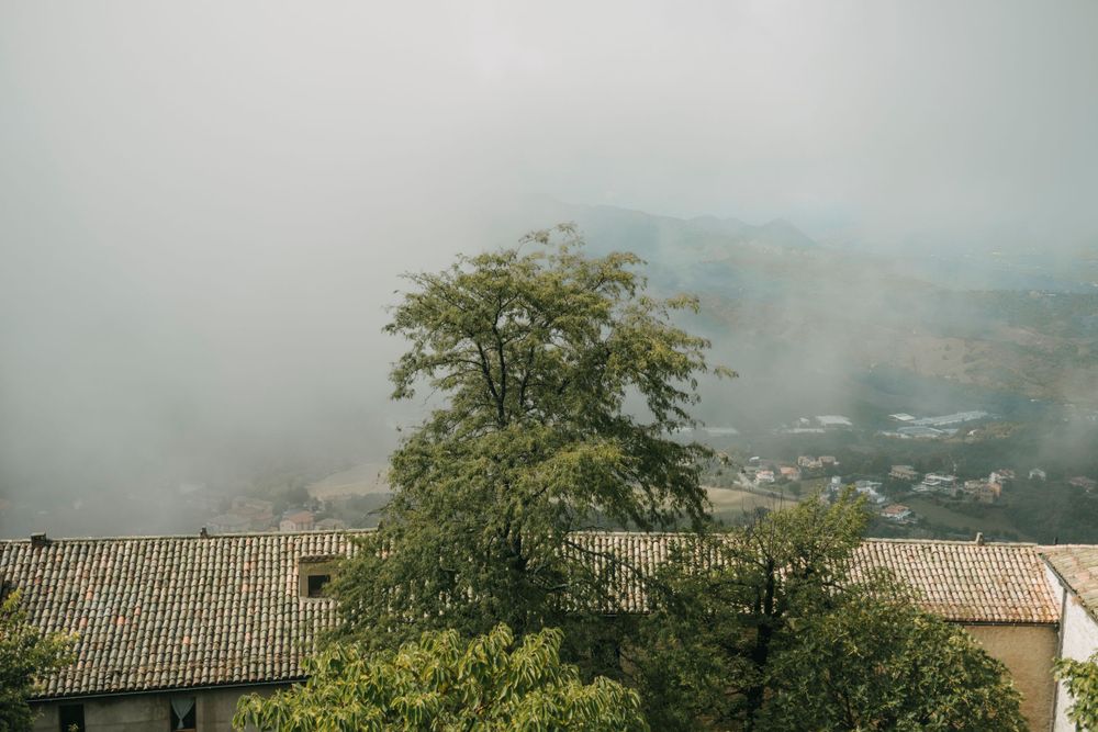 Portfolio. Nuotraukos. Reportažas. Reportazas. Archyvai