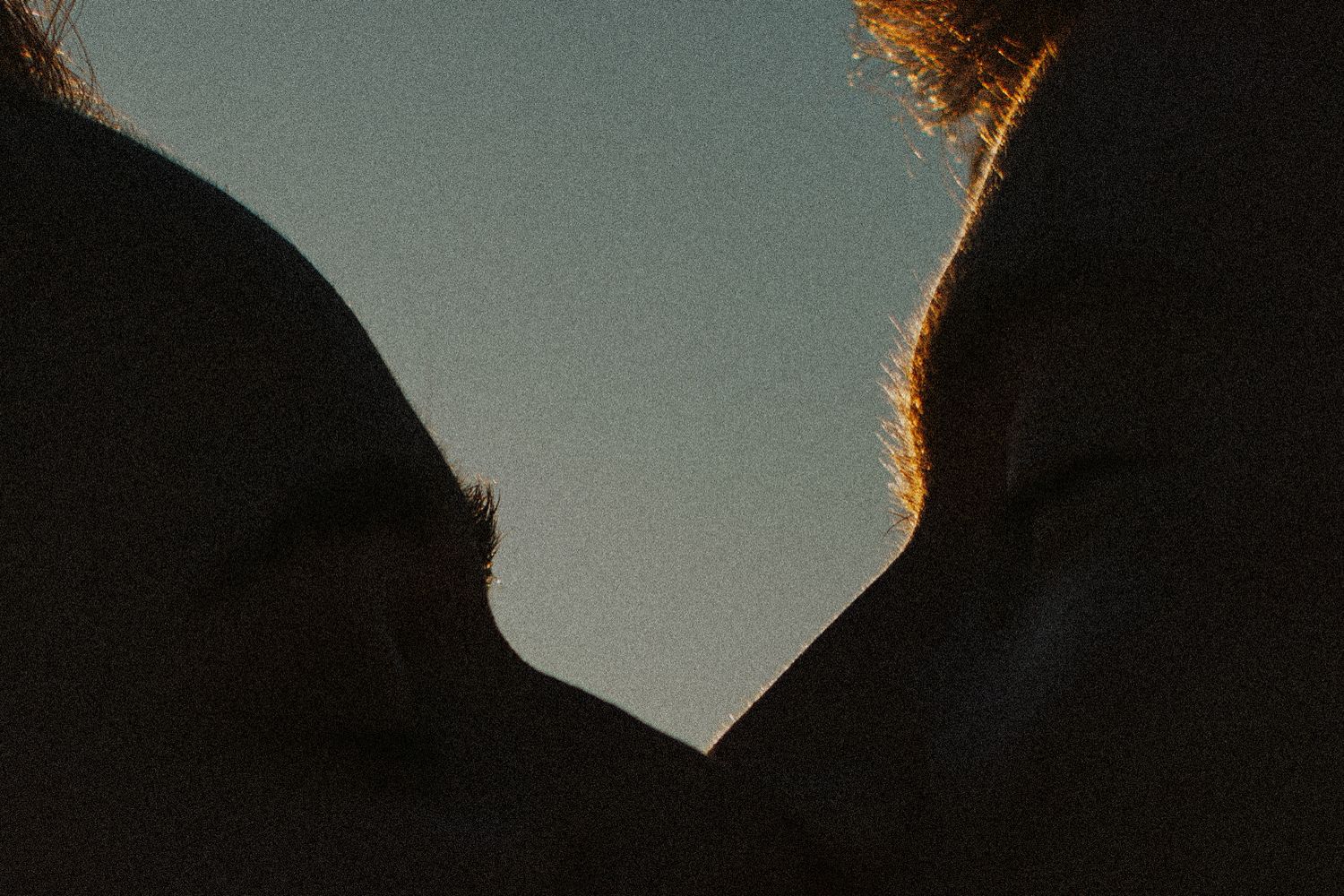 Portrait photo en gros plan artistique des visages d'un couple qui s'embrasse, silhouettes sculptés au couché du soleil à l'ile de ré