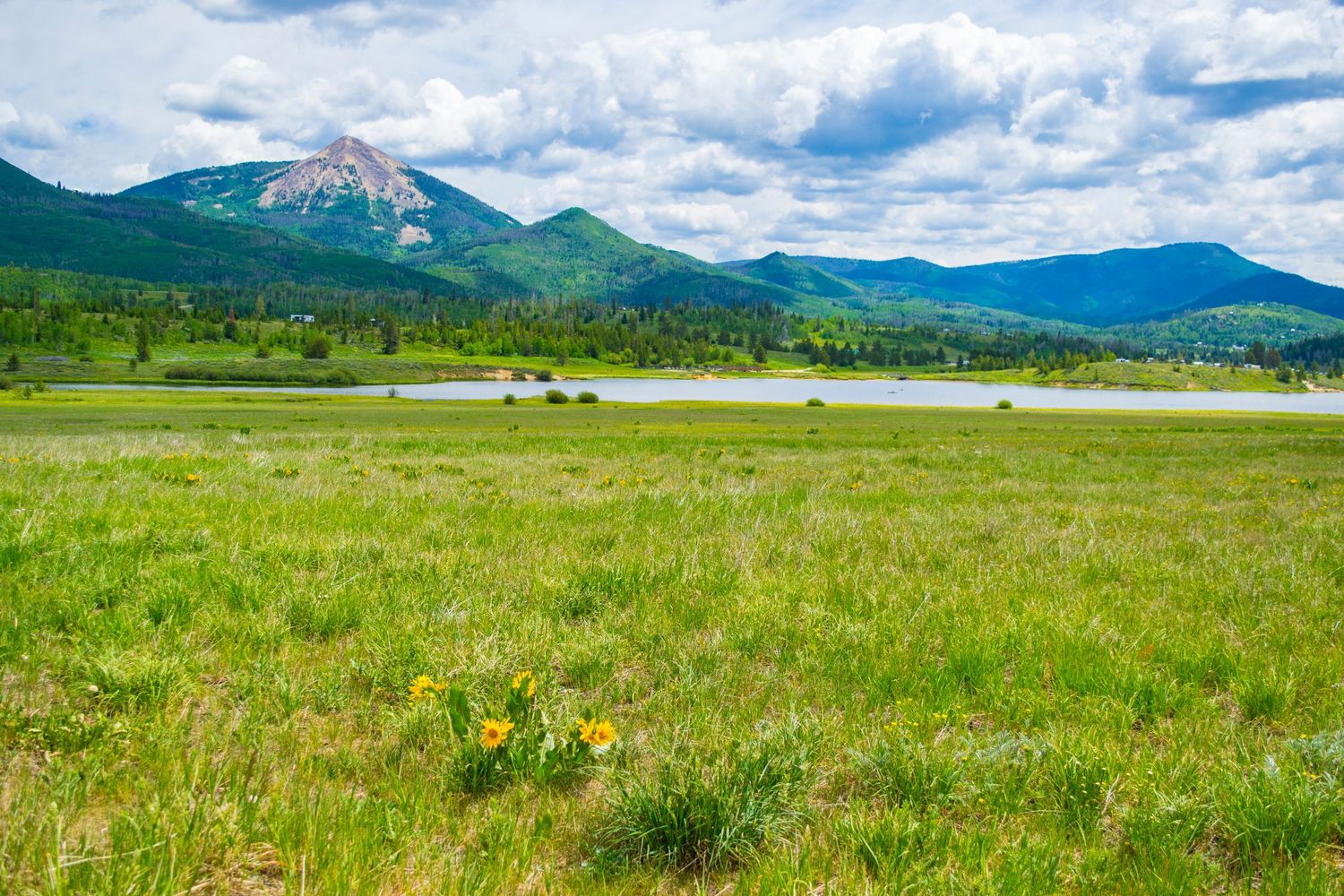 Mountain landscape with green meadow and rocky peaks under puffy clouds.