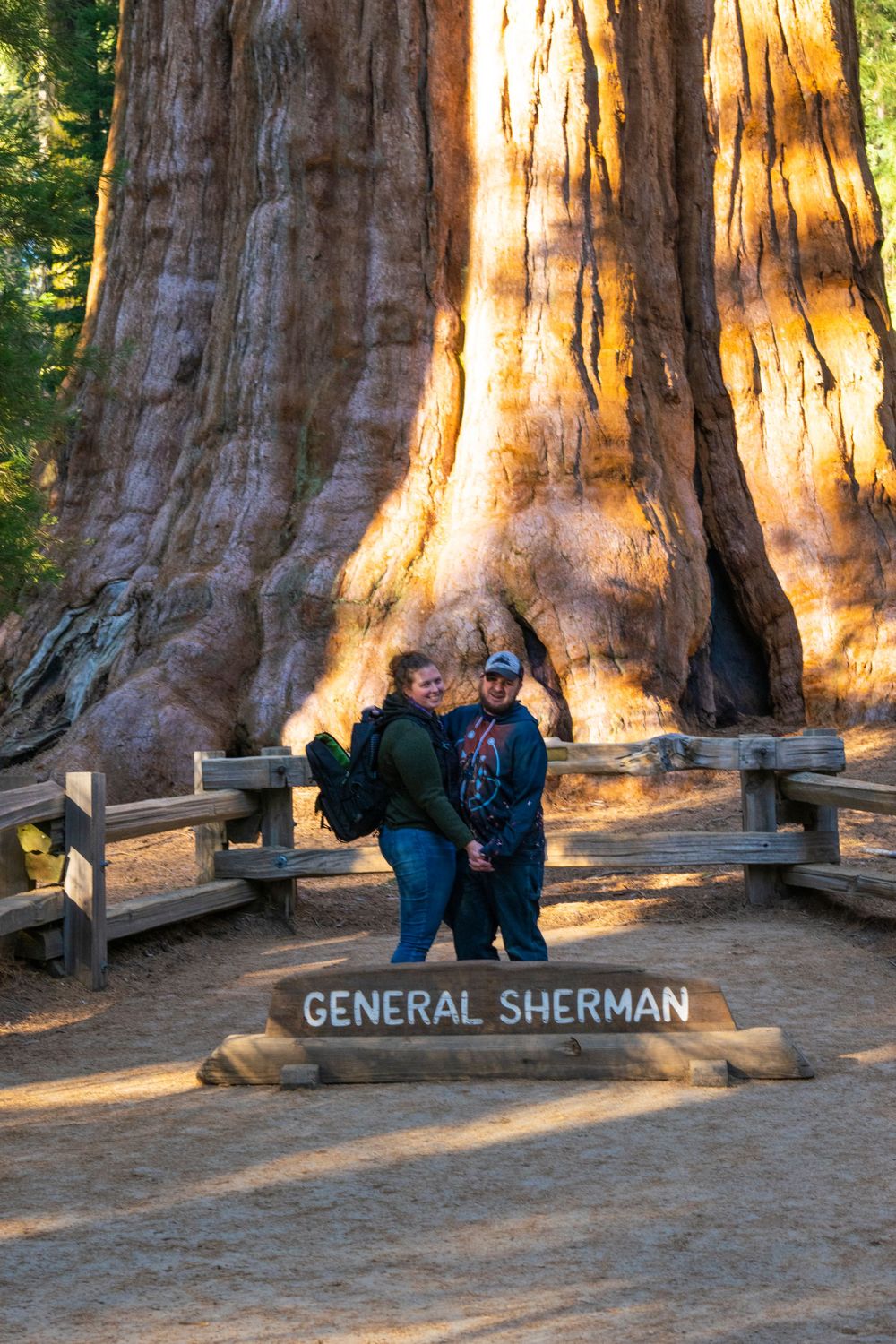 Historic General Sherman sequoia tree base with wooden fence and visitors viewing massive trunk.