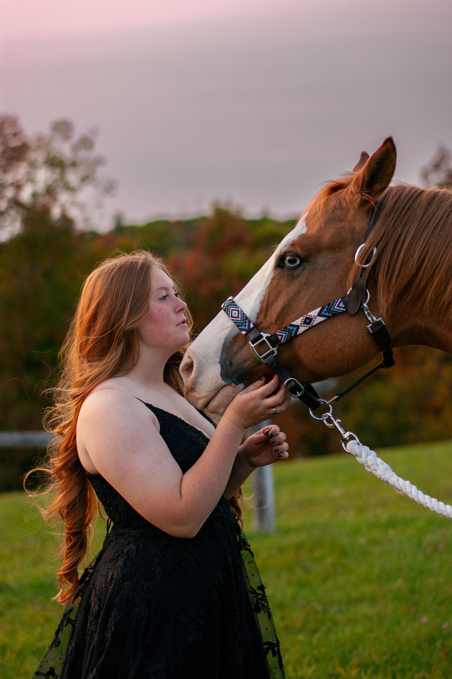 Horse kisses