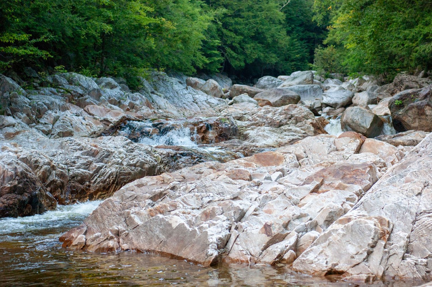 Rocky riverbed with white granite boulders and flowing water surrounded by green forest.