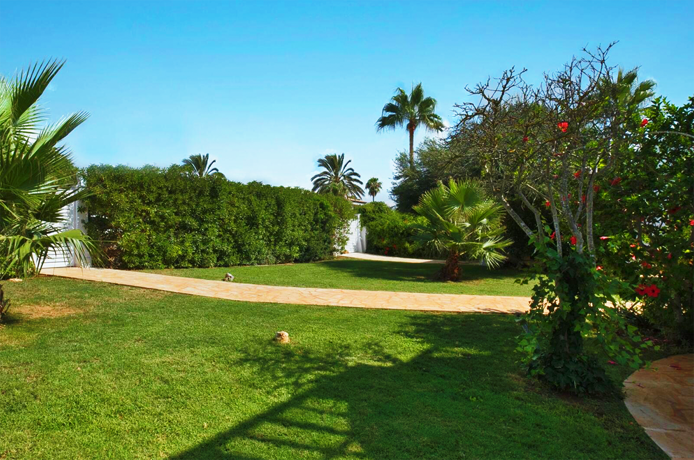 Lush tropical garden with palm trees and manicured green lawn.