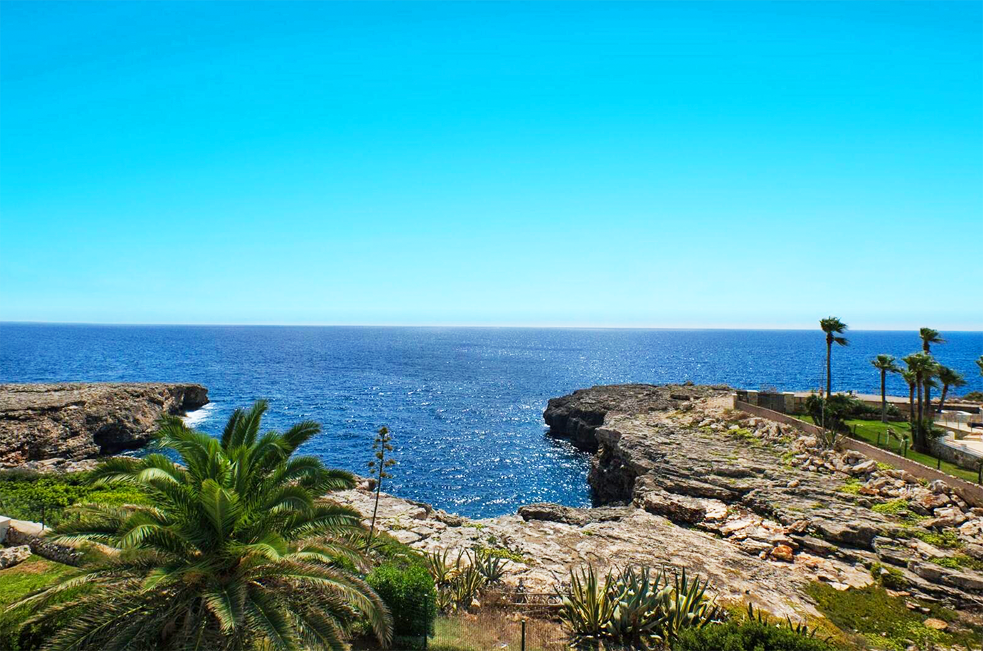 Dramatic coastal landscape with rocky cliffs, palm trees and blue Mediterranean waters.