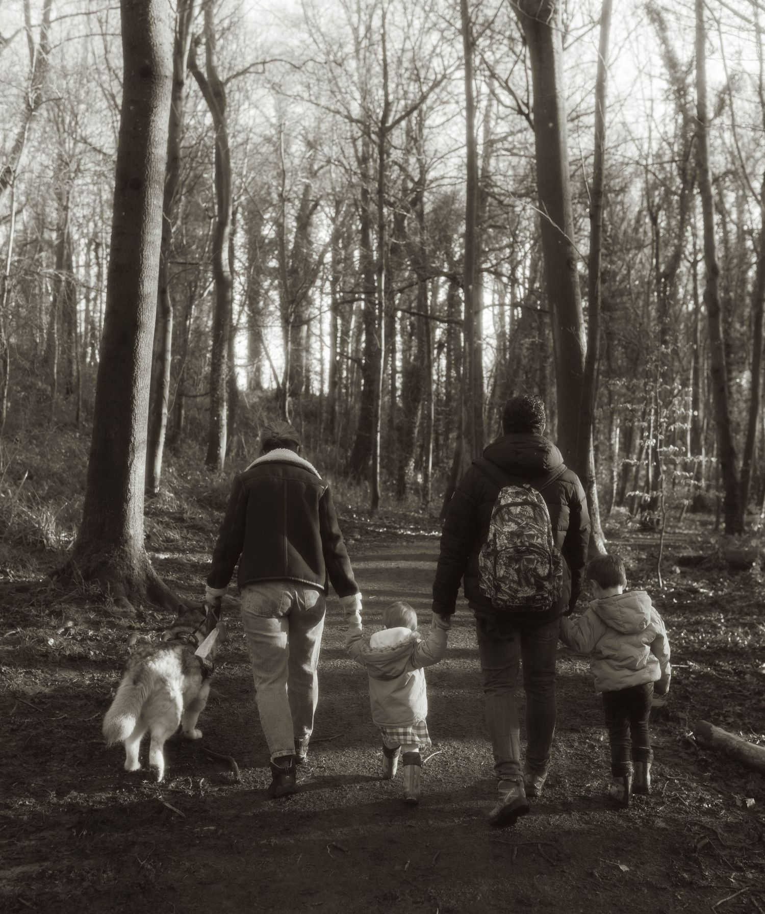 family photoshoot in the woods north Wales