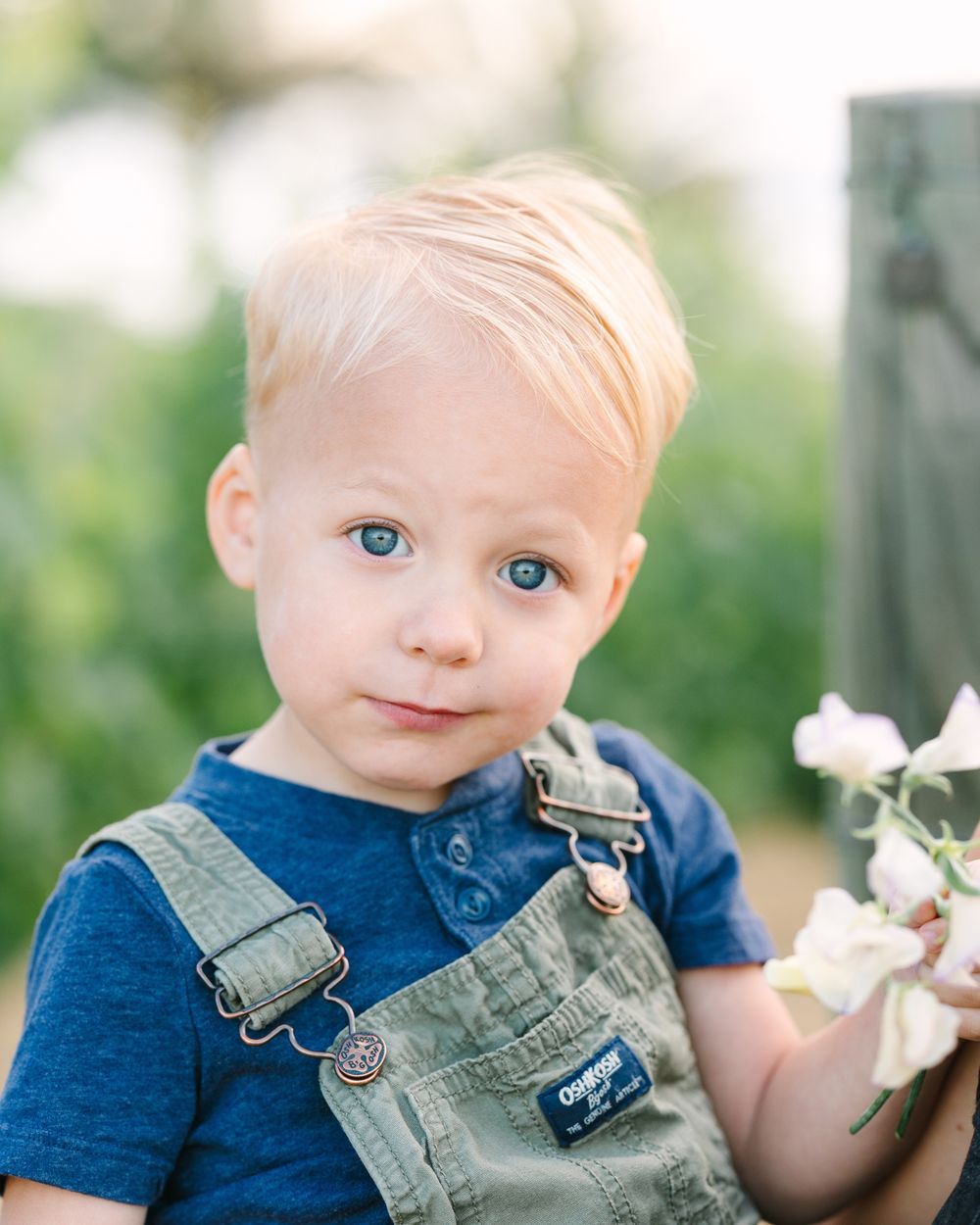 Child wearing blue shirt and overalls sitting among garden flowers.
