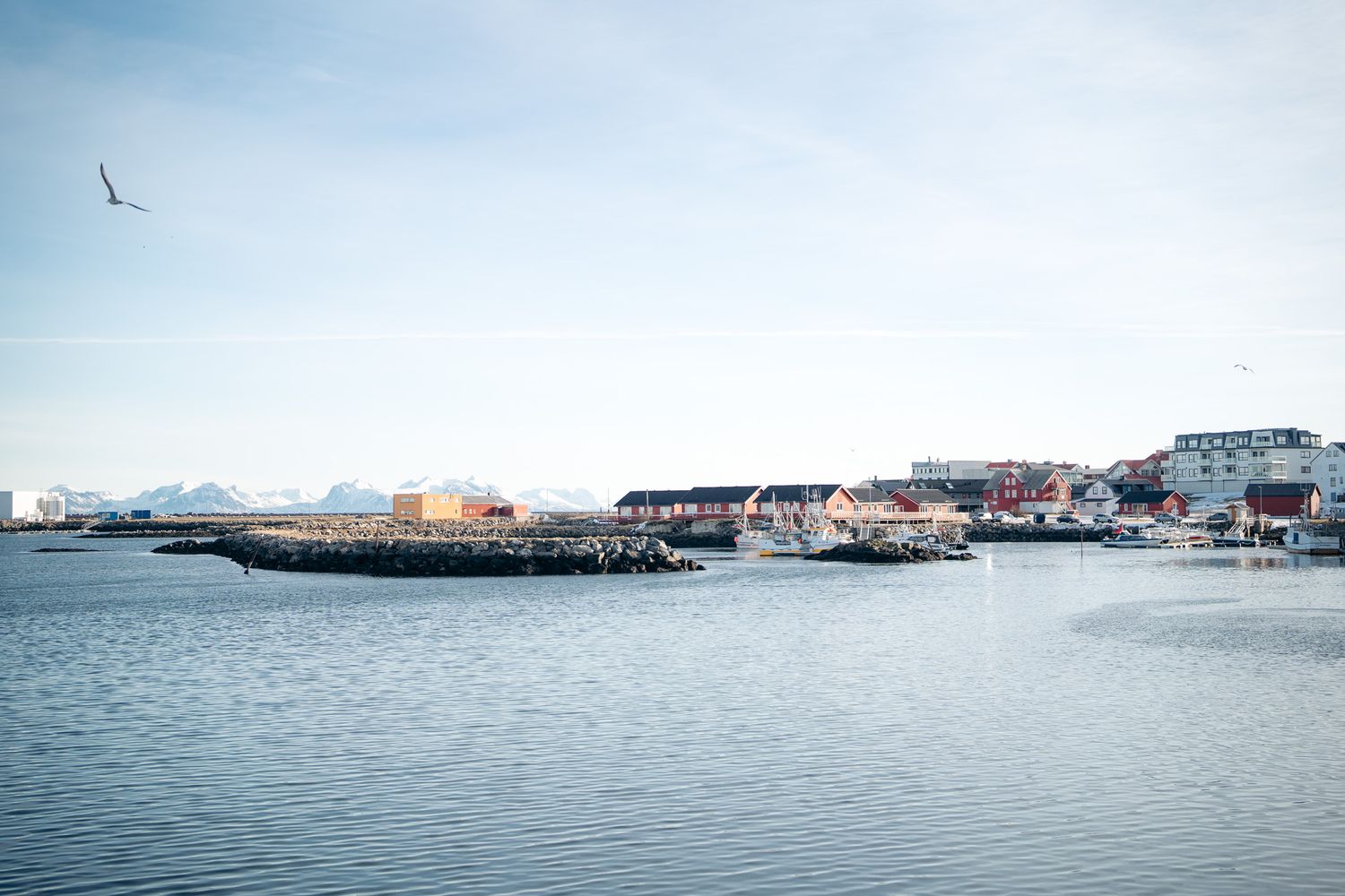 port andenes excursion bateau