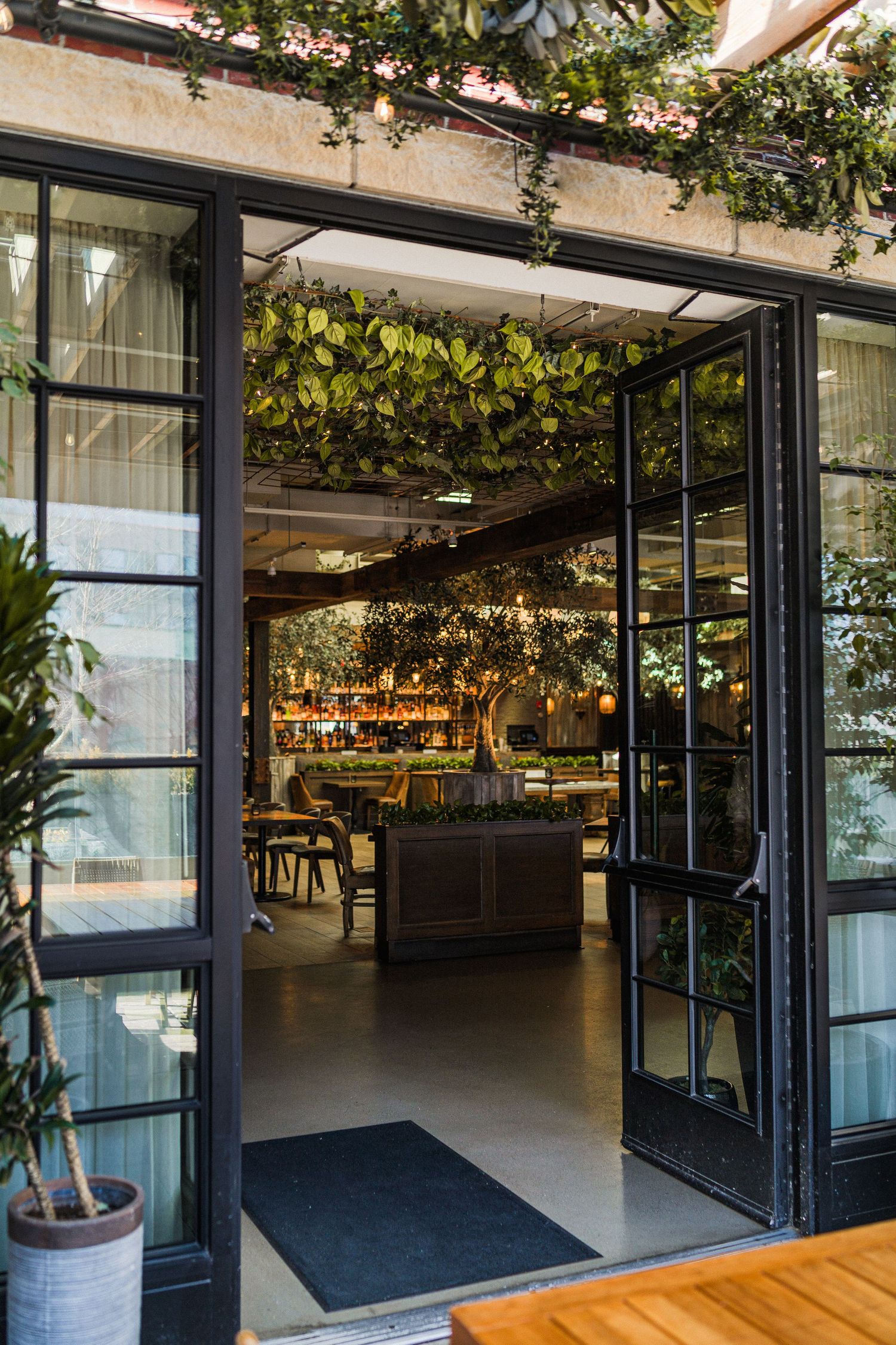 Modern restaurant entrance with glass doors, greenery and warm lighting.
