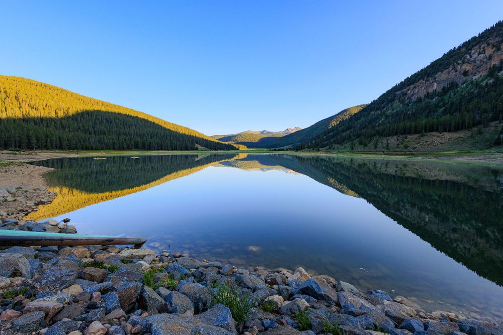 Nature photo