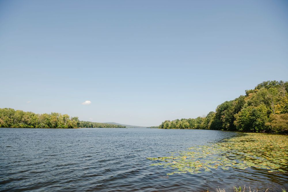 A scenic lake with lush green trees along the shoreline and calm waters reflecting the bright blue sky.