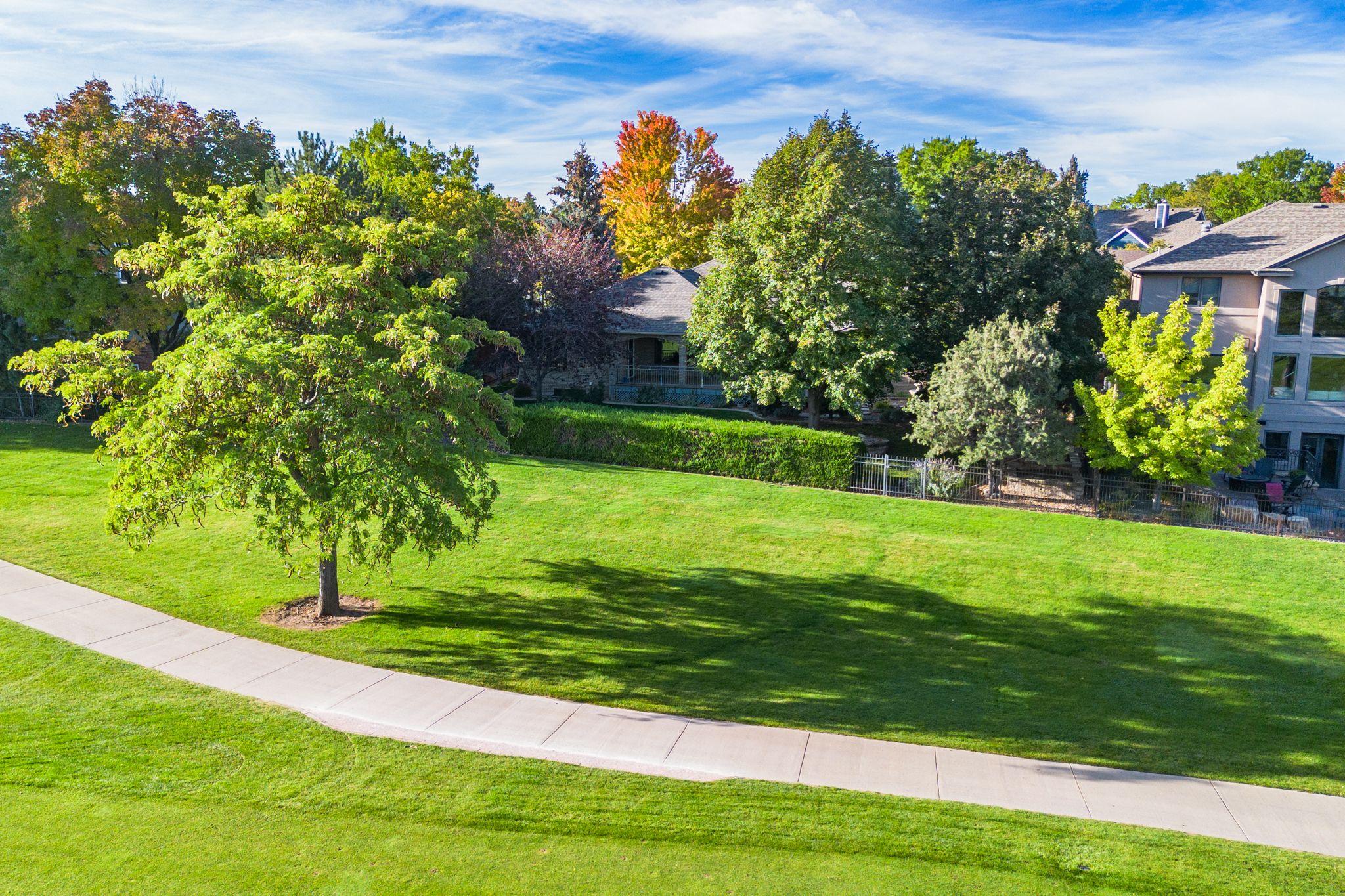 Panoramic view of a lush green suburban backyard with mature trees and a curved concrete pathway under blue skies.
