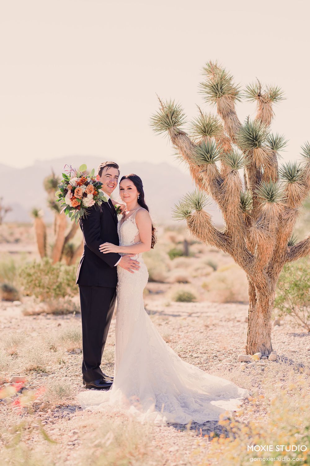 A wedding couple shares intimate moments among Joshua trees in a desert landscape with warm sunset lighting.