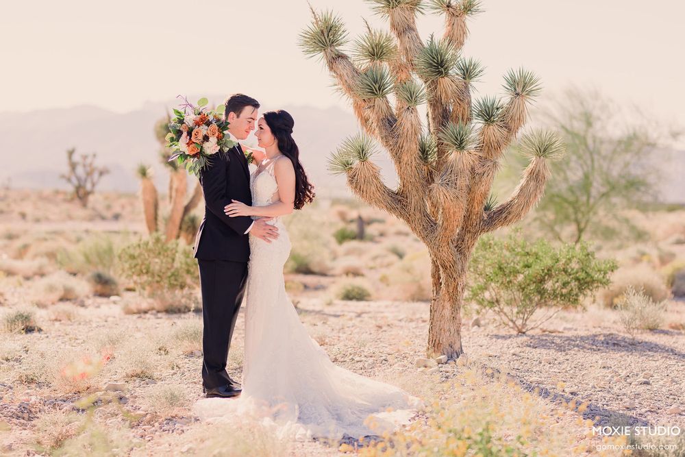 Wedding portraits captured in a desert setting with rustic Joshua trees creating a romantic backdrop.