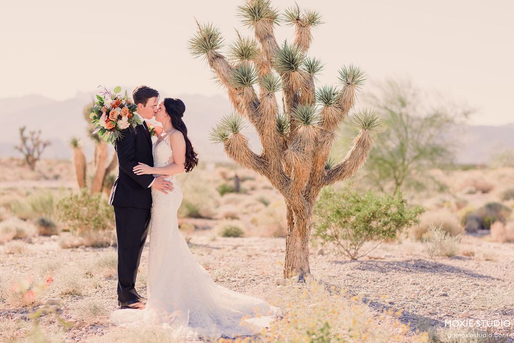 Newlyweds share intimate moments among desert flora and Joshua trees during their wedding photoshoot.
