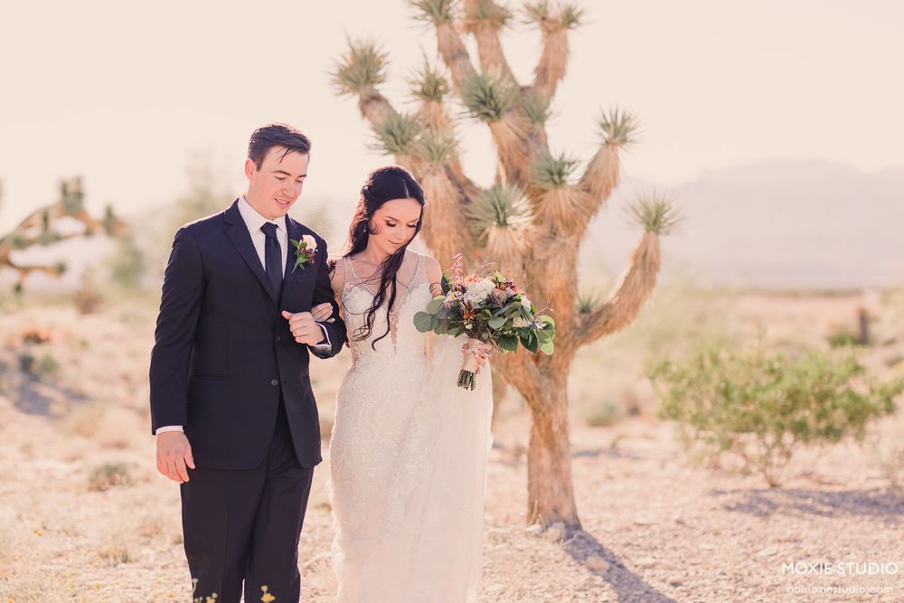 A couple in wedding attire poses together in front of a Joshua tree in a desert landscape at sunset.