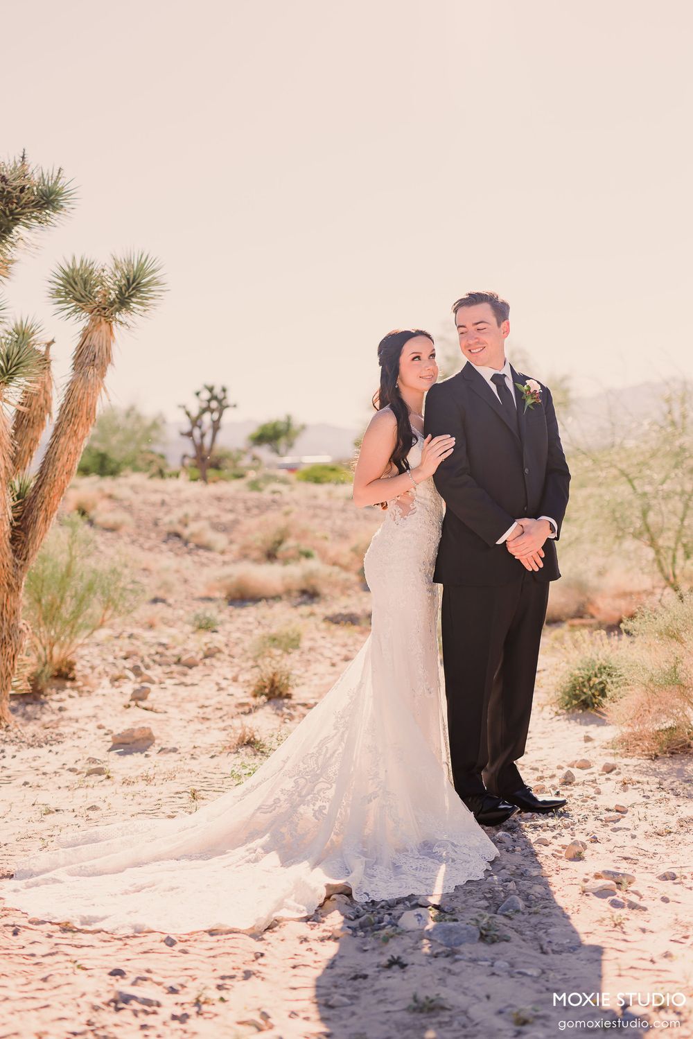 A couple in wedding attire shares romantic moments in a desert landscape with Joshua trees and rocky terrain.