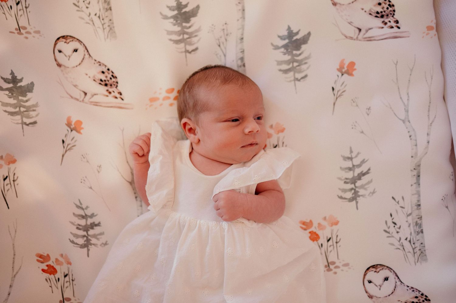 A nursery wall decorated with delicate floral and woodland animal patterns in soft pastel colors.