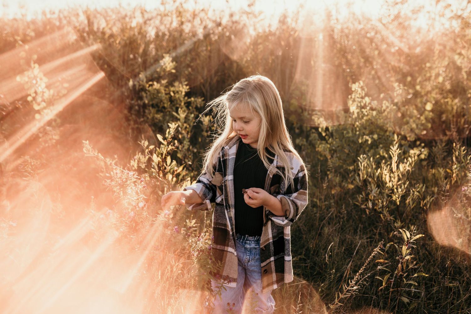 A person in a denim jacket stands in a sunlit field with golden light filtering through trees and tall grass.