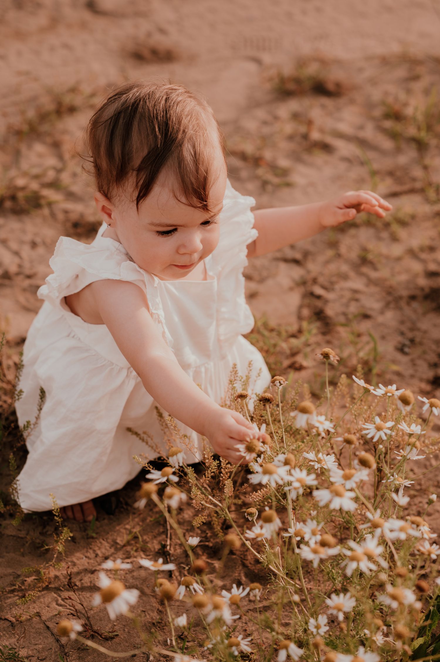 A small child in a white dress picks wildflowers in red desert soil.