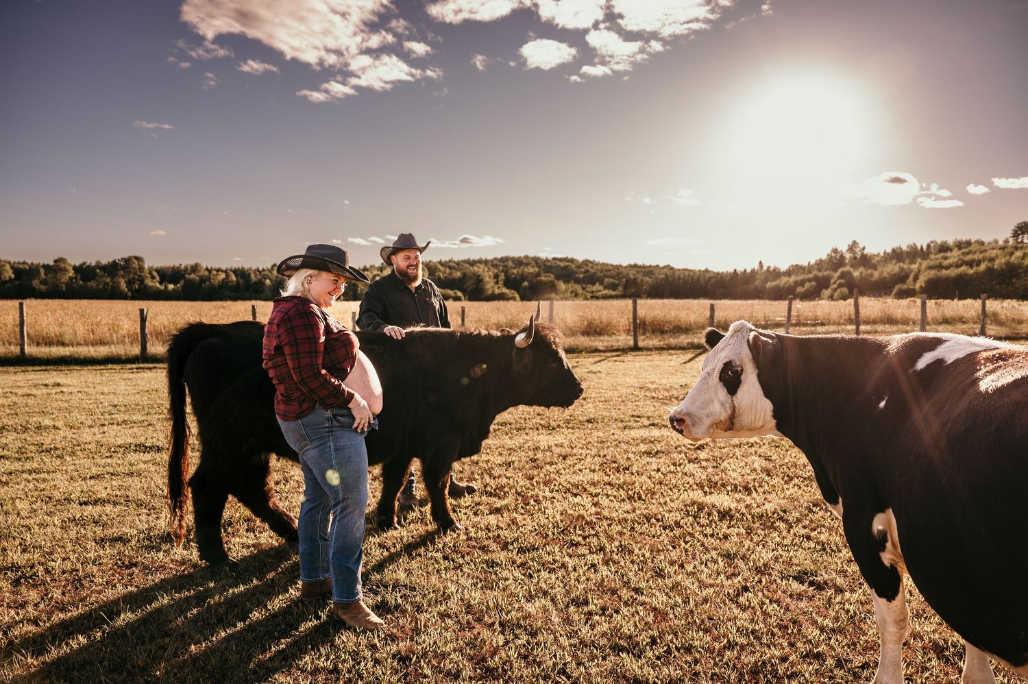 Ranchers working with cattle in a sunlit pasture with scattered clouds overhead during golden hour.
