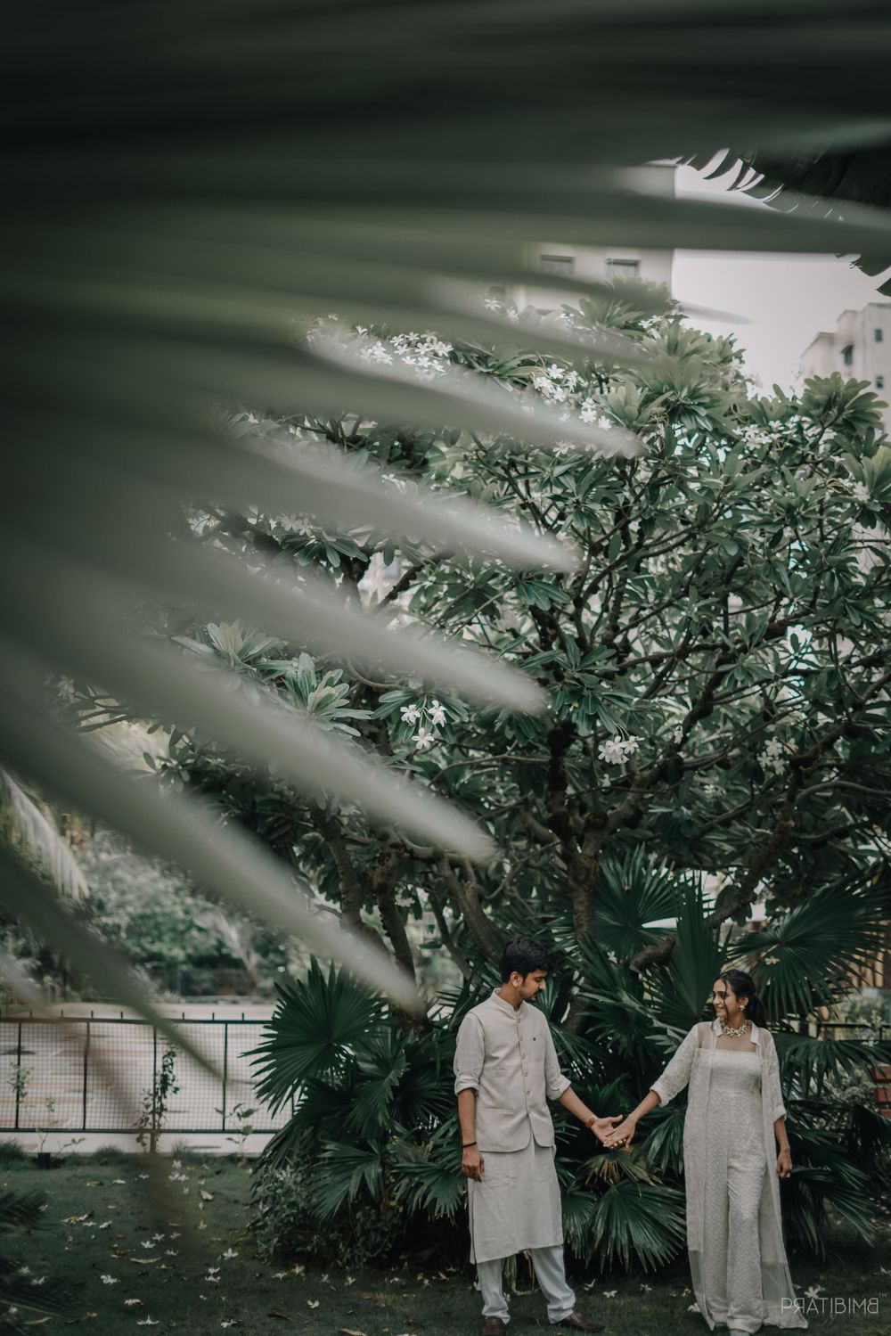 Artistic wedding photography through palm fronds showing couple in white.