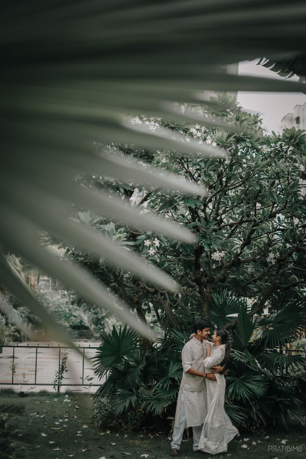 Garden photoshoot sequence with palm leaves framing couple in traditional attire.