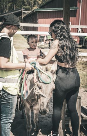 Group interacting with small donkeys in front of a red barn.