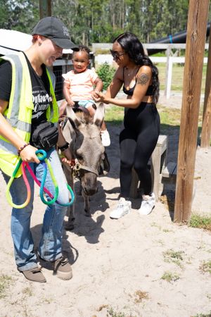 Group of people leading miniature donkeys along a sunny trail.