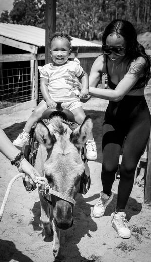 Interacting with miniature donkeys at an outdoor farm visit.