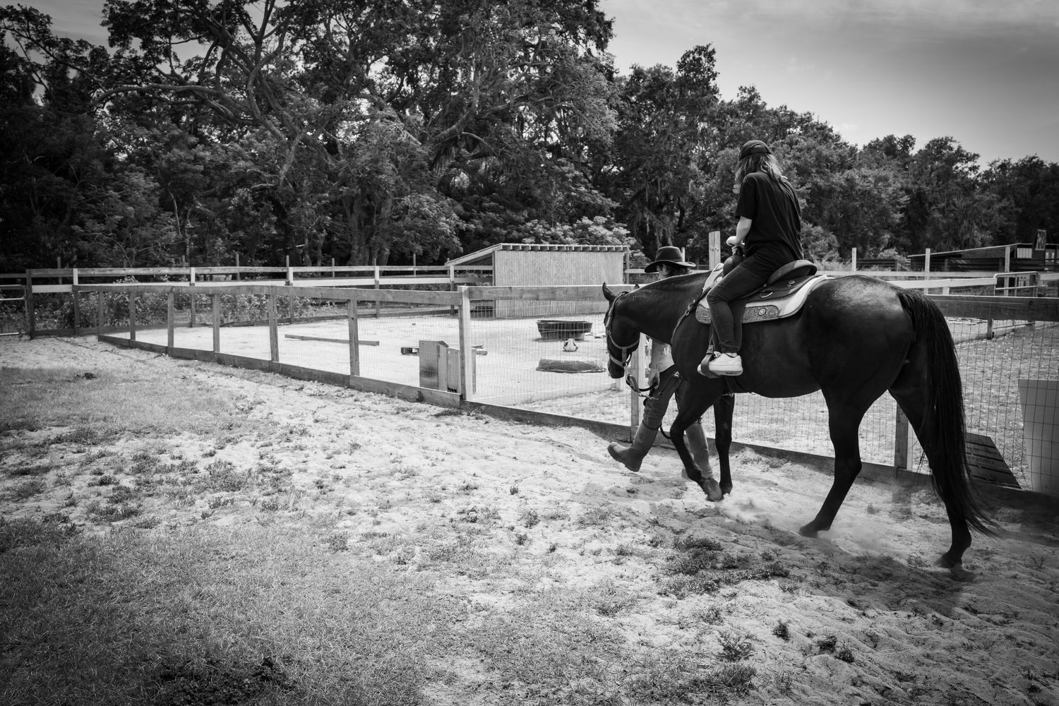 Series of black and white photos showing horses training in outdoor arena.