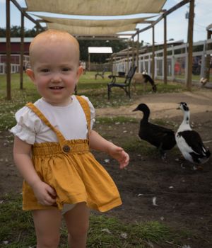 Toddler in yellow shorts and white shirt exploring a farm with ducks nearby.