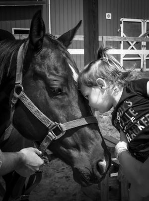 Close-up black and white photos of horses nuzzling together in a stable.