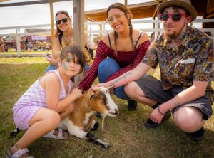 People sitting on grass petting a friendly farm animal.