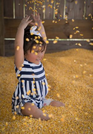 Child playing in a large pile of corn kernels with falling grain creating a magical effect.