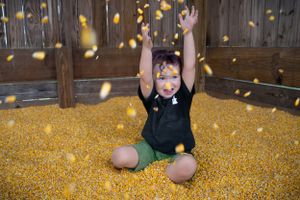 Yellow corn kernels falling around a child playing in a grain bin.
