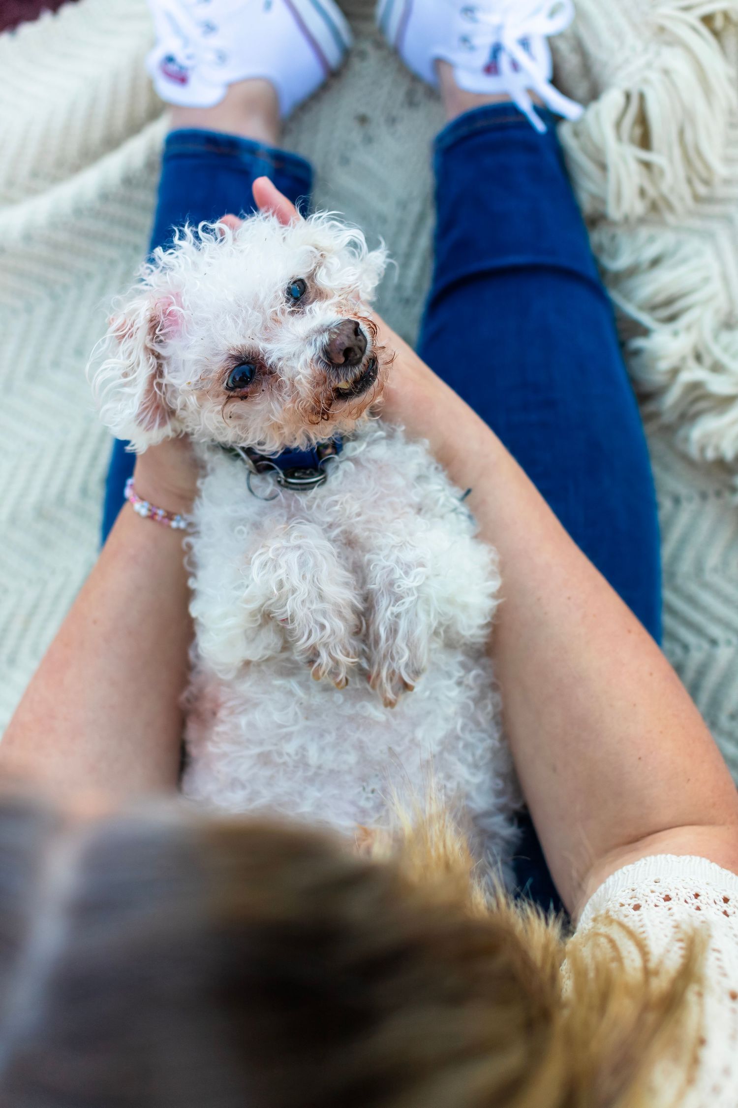 Fluffy white dog sitting contentedly on someone's lap outdoors.