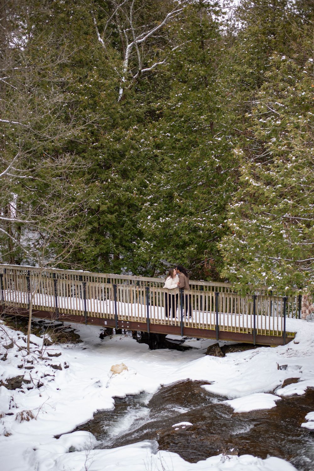A wooden footbridge spans a snowy creek in winter, surrounded by evergreen trees and white-covered ground.
