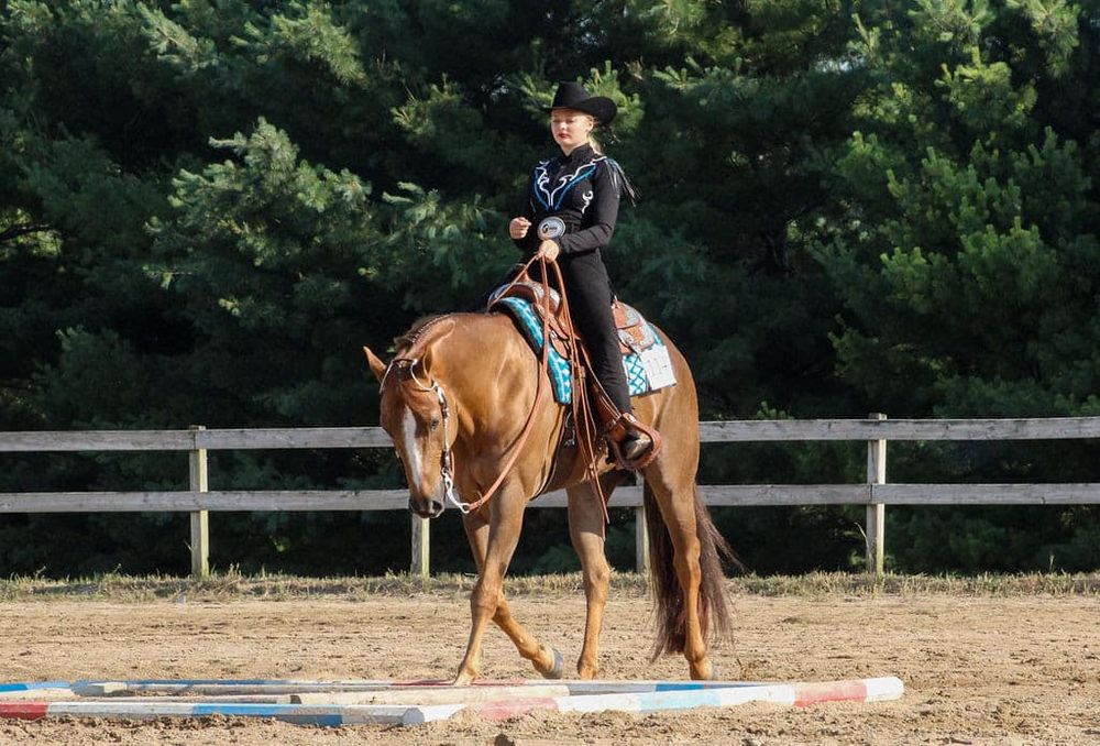 Equestrian riding chestnut horse in sandy arena with wooden fence backdrop.