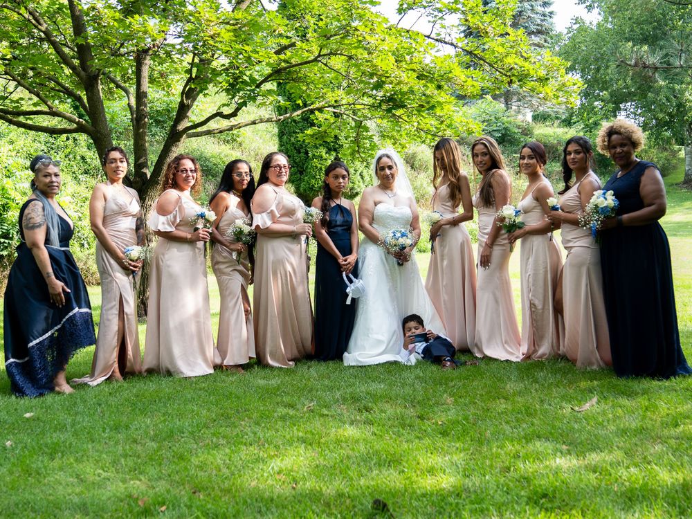 Wedding party lined up on lawn with bridesmaids in blush pink dresses.