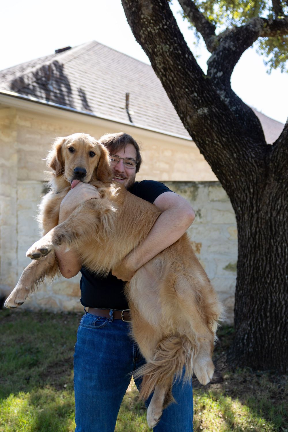Golden Retriever being playfully lifted by someone in front of a house.