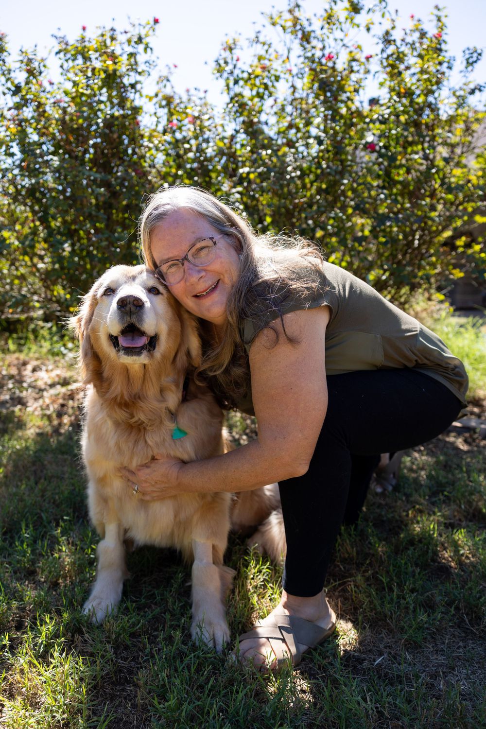Happy Golden Retriever dog and companion enjoying a sunny day outdoors.