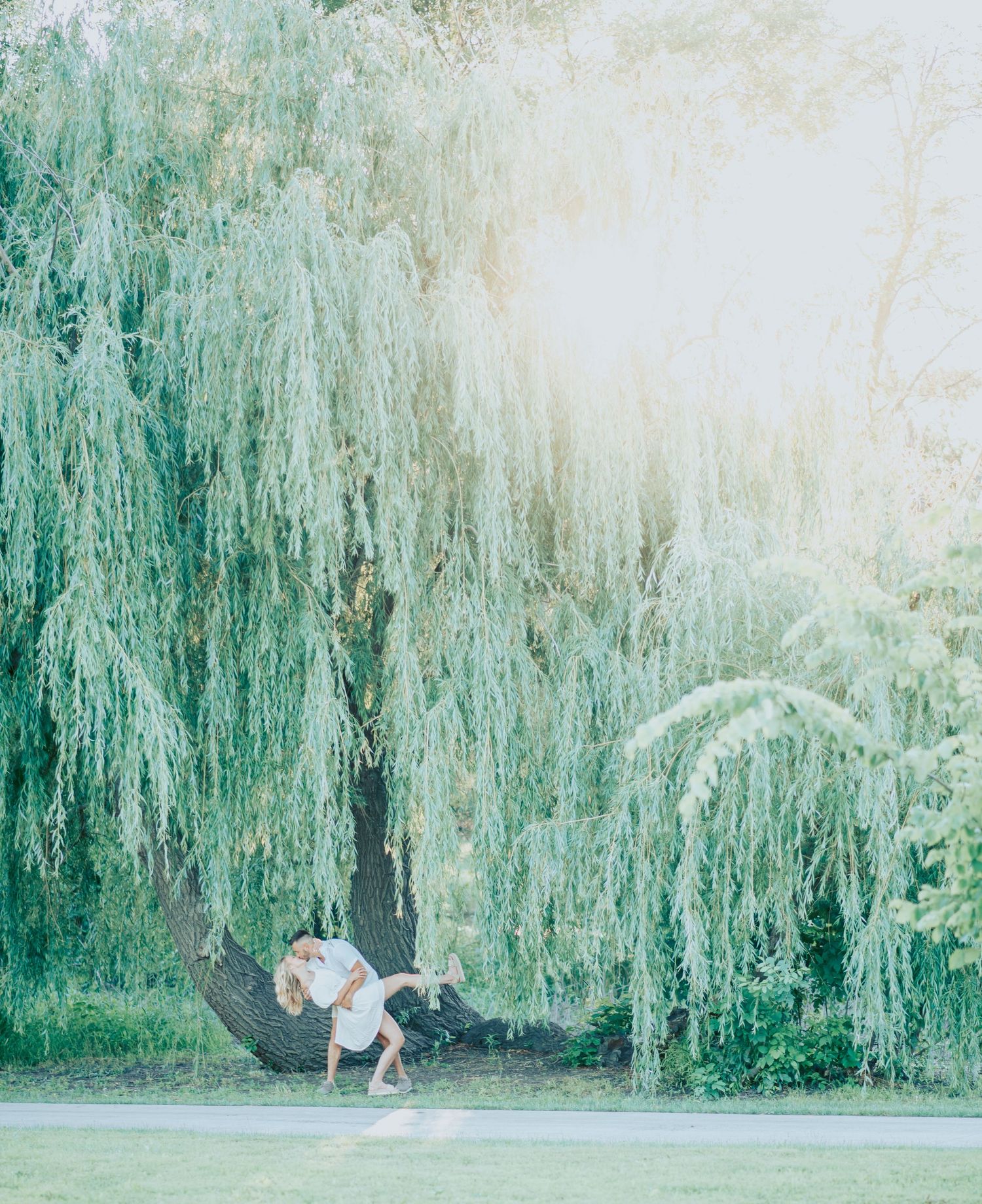 Silhouettes of a couple sitting on a tree branch under cascading willow leaves at dusk.