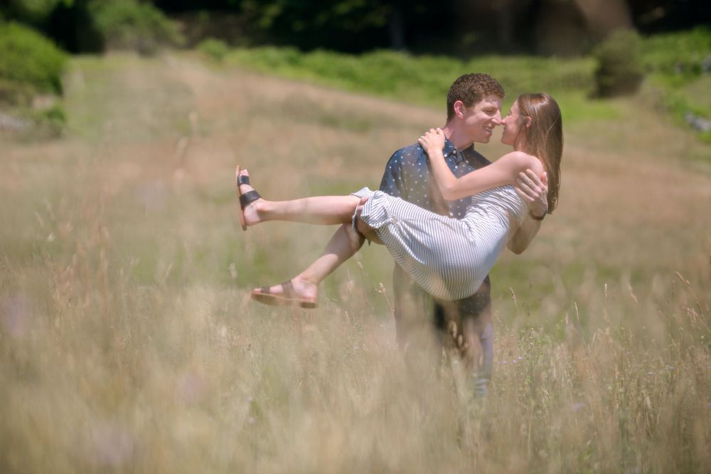 A romantic scene in a meadow with tall grass swaying in the breeze.