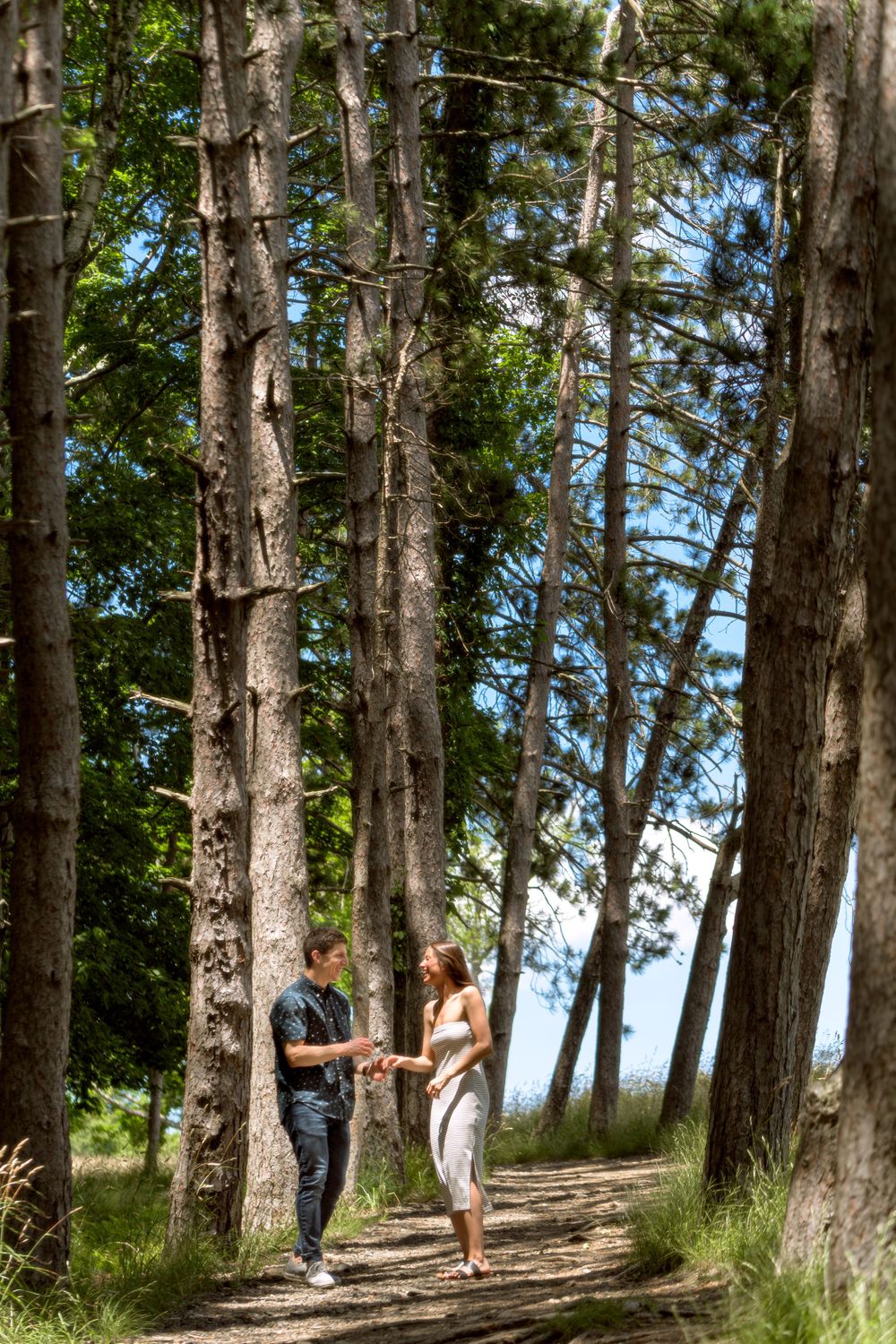 A couple walking along a sunlit forest path surrounded by tall pine trees.